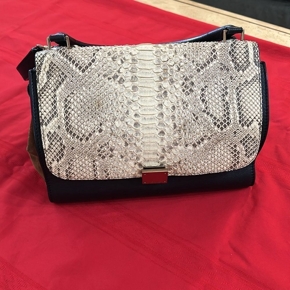 Authentic Celine Python Trapeze Bag - image 4